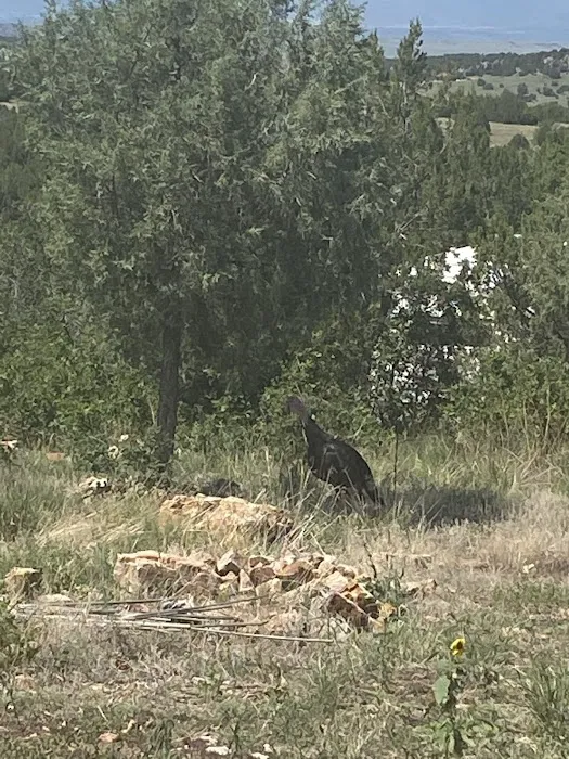 Little Owl Canyon Campground 9