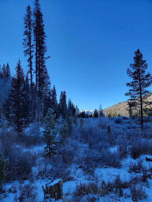 Blodgett Campground 8