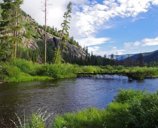 Blodgett Campground