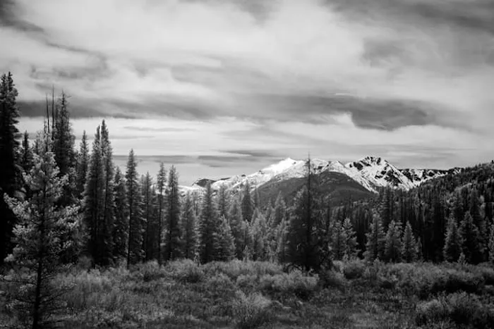Blodgett Campground 1