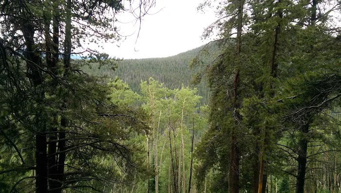 Halfmoon Campground 7