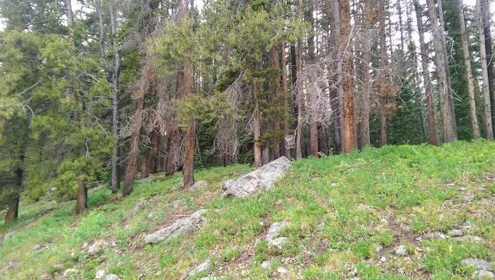 Halfmoon Campground 3