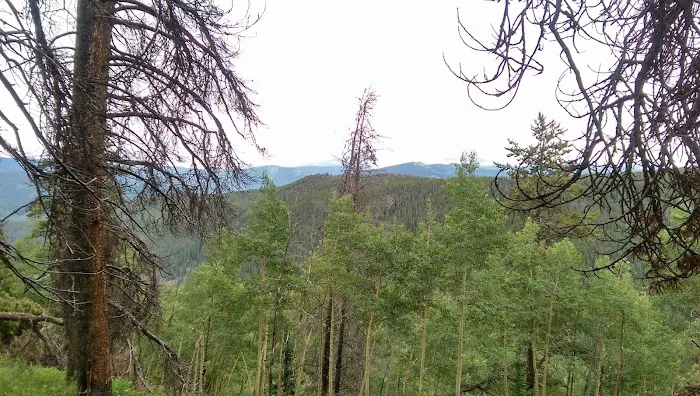 Halfmoon Campground 1