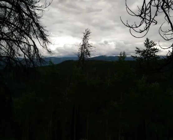 Halfmoon Campground
