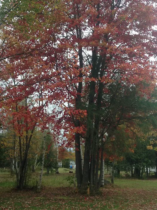 Clear Lake Campground 9