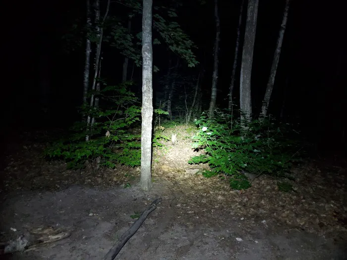 Monocle Lake Campground 7