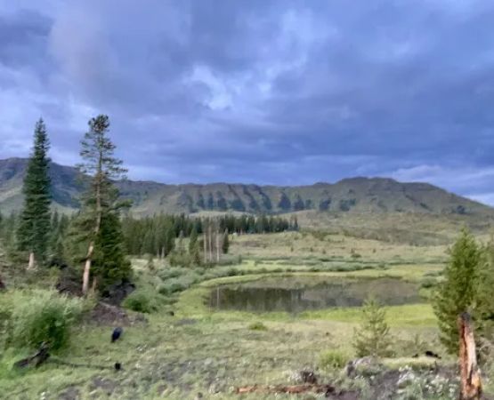 Trappers Lake / Horse Thief Campground