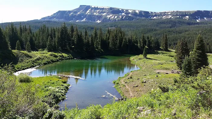 Cold Springs Campground 3