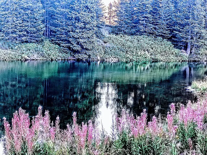 Cold Springs Campground 9