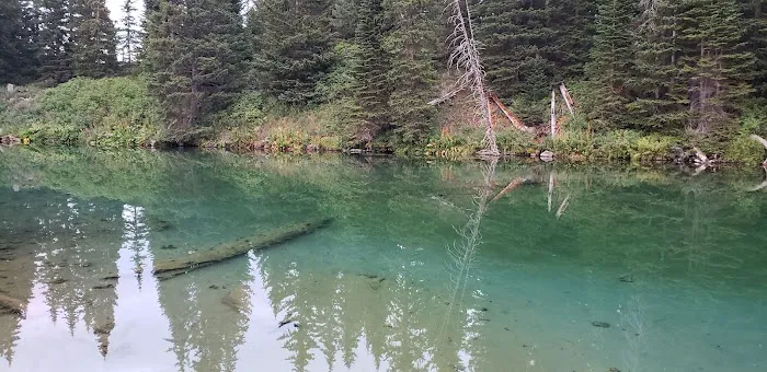 Cold Springs Campground 6