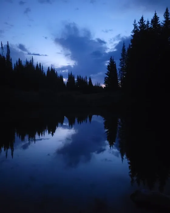Cold Springs Campground 8