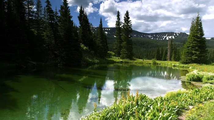 Cold Springs Campground 2