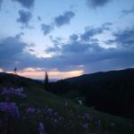 Cold Springs Campground