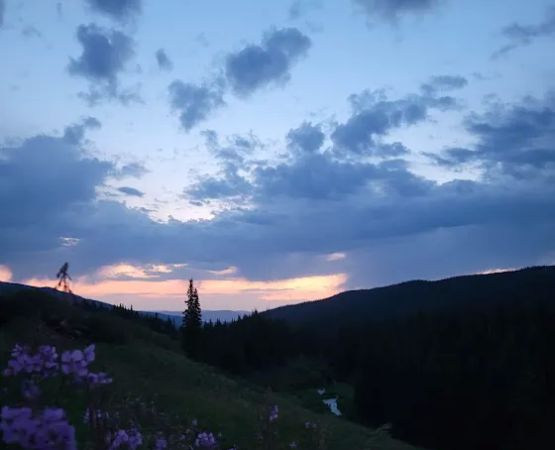 Cold Springs Campground