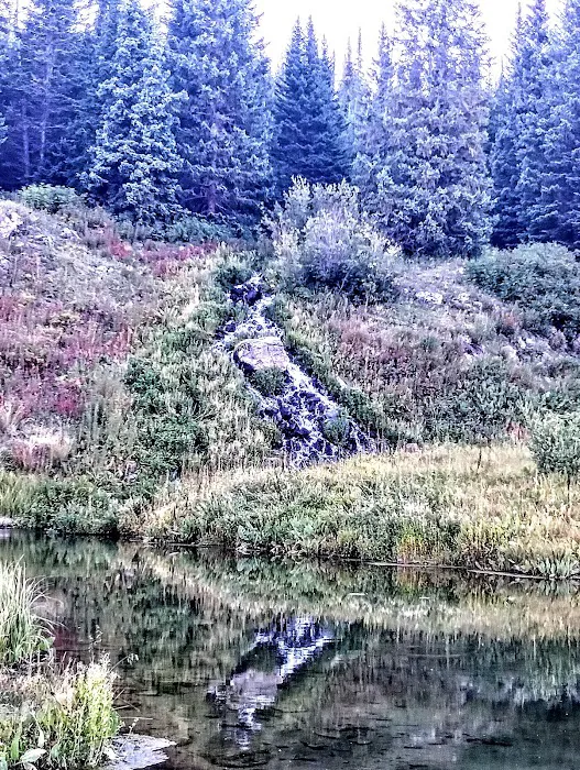 Cold Springs Campground 4
