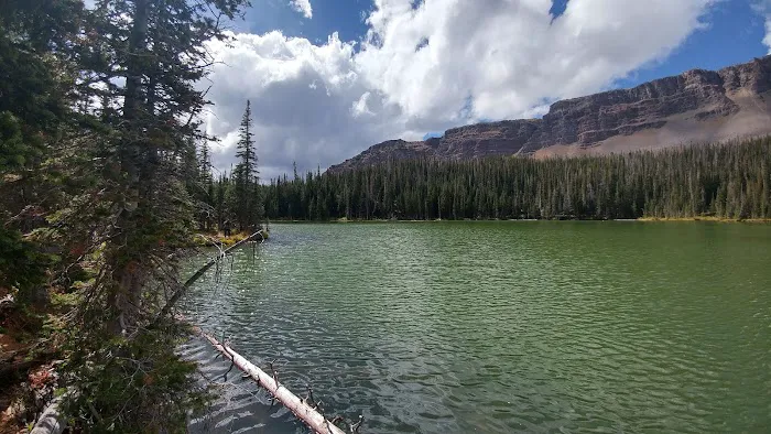 Horseshoe Campground 5