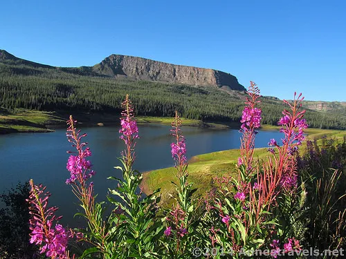 Bear Lake Campground 7