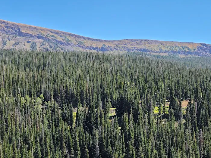 Bear Lake Campground 5