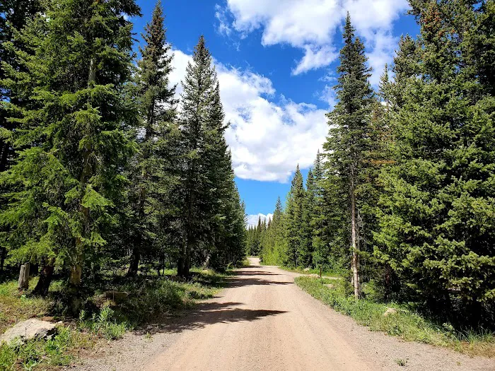 Bear Lake Campground 8
