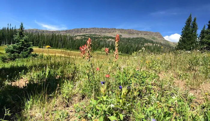 Bear Lake Campground 2