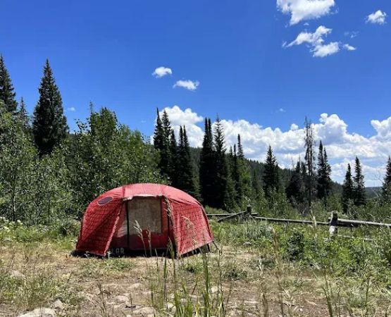 Blacktail Creek Campground