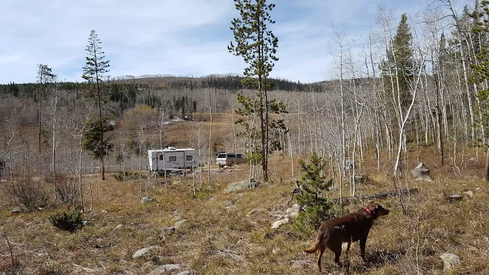 Blacktail Creek Campground 9