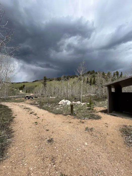 Blacktail Creek Campground 8