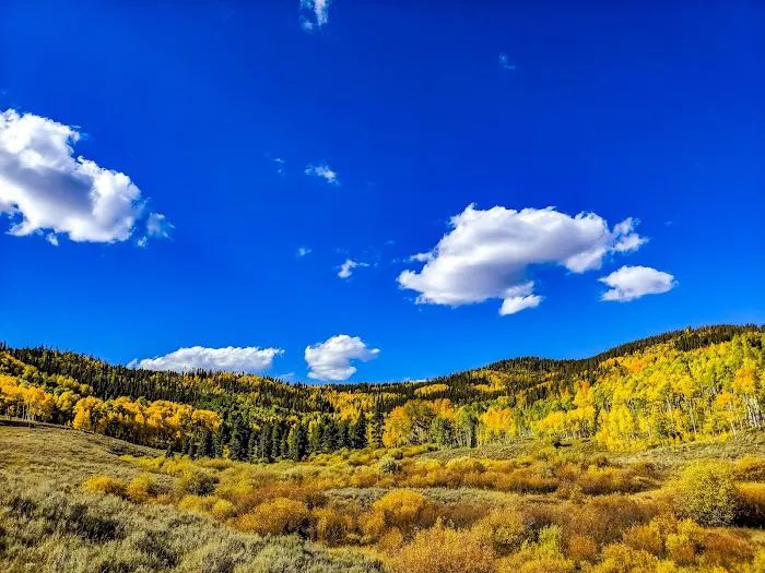 Blacktail Creek Campground 2