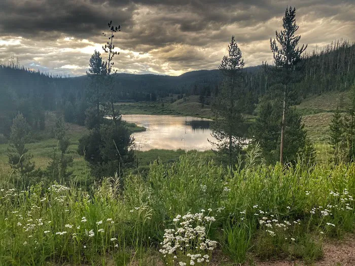 Lynx Pass Campground 4