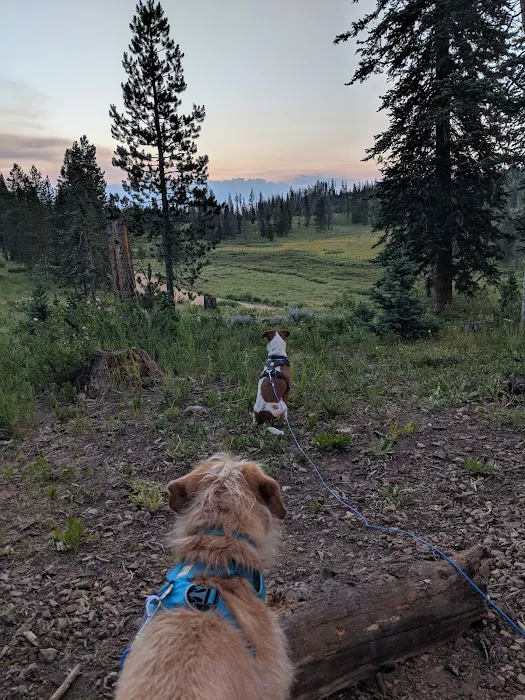 Lynx Pass Campground 6