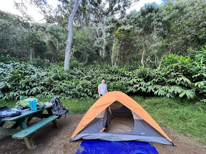Kōkeʻe State Park Campground 4