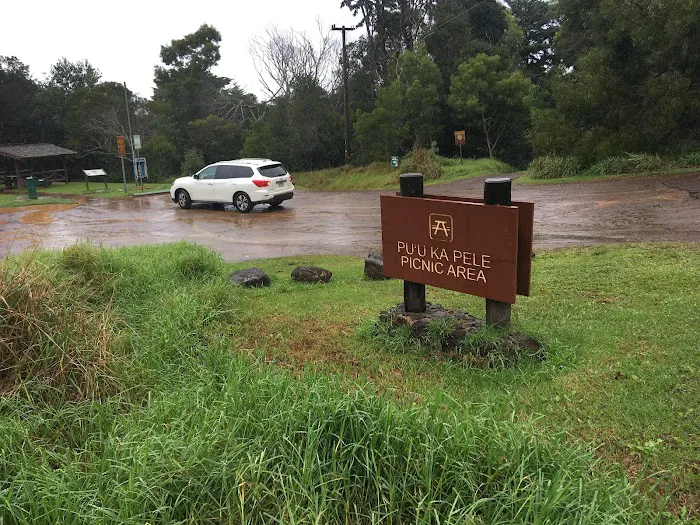 Kōkeʻe State Park Campground 3