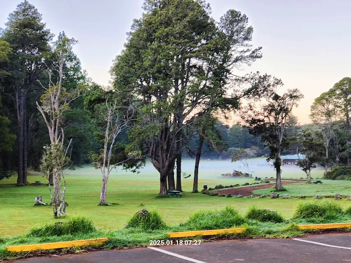 Kōkeʻe State Park Campground 9