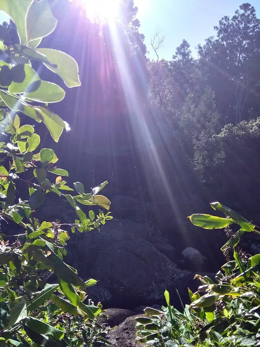 Sugi Grove Campground 4
