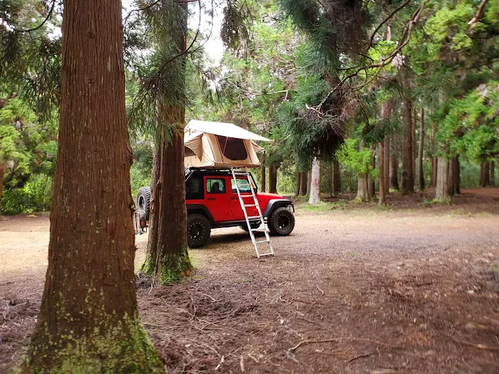 Sugi Grove Campground 9