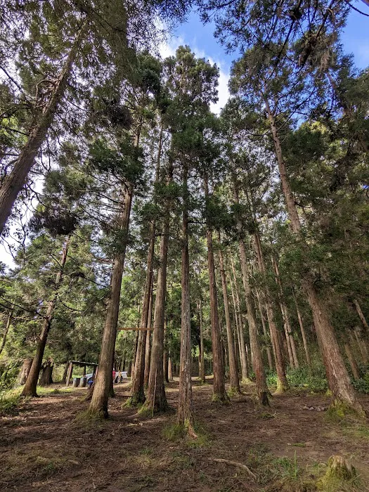 Sugi Grove Campground 1