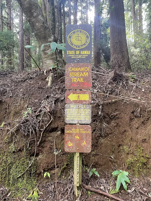 Sugi Grove Campground 5