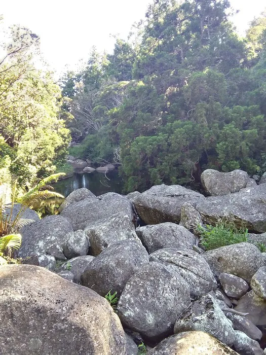 Sugi Grove Campground 2