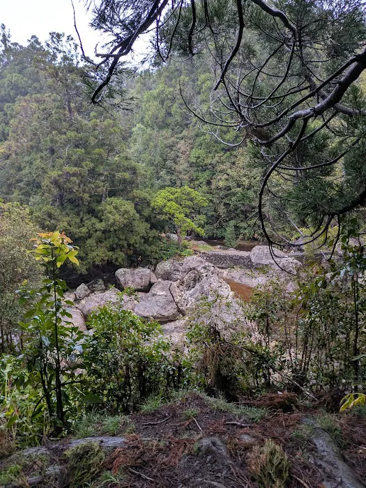 Sugi Grove Campground 6