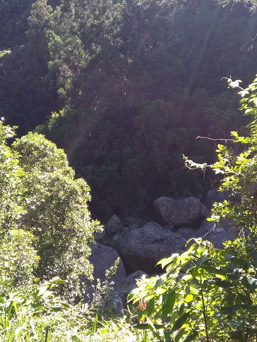 Sugi Grove Campground 8