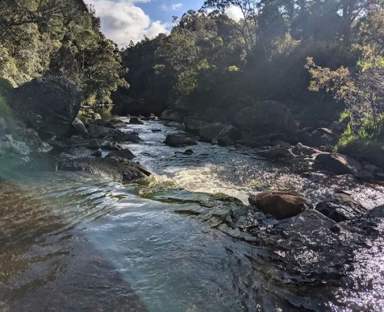 Sugi Grove Campground