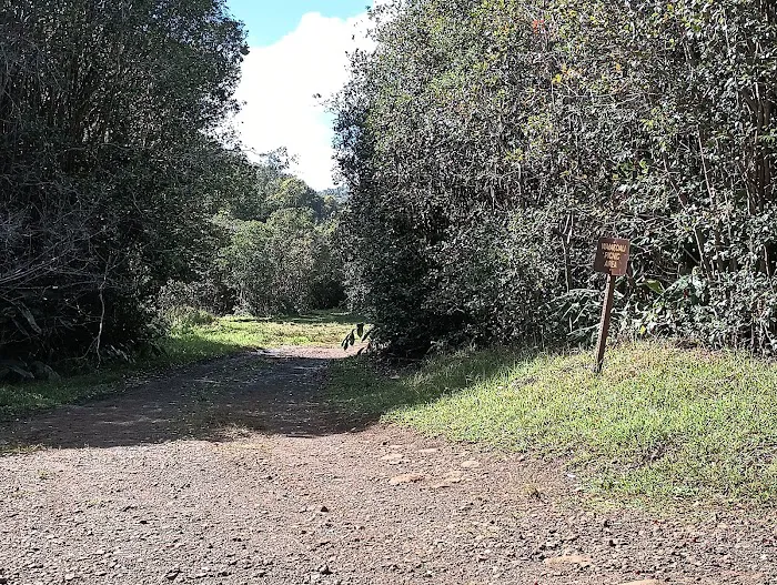 Waikoali Camp 0
