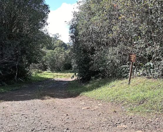 Waikoali Camp