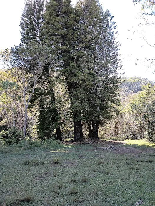 Waikoali Camp 1