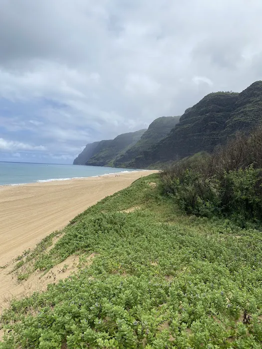 Polihale State Park Camping Area 4 4