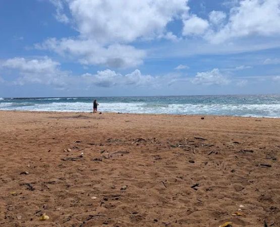 Anini Beach Park Campground
