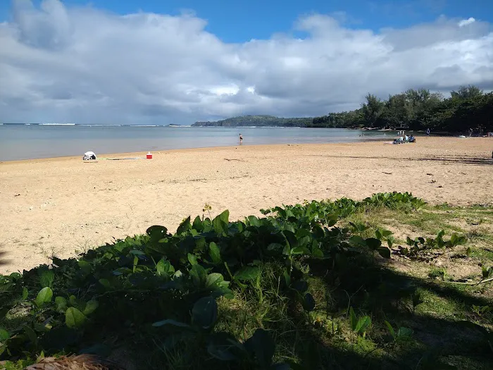 Anini Beach Park Campground 7