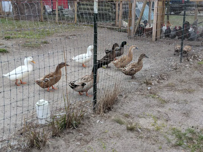 Home Field Advantage Farmstead 9