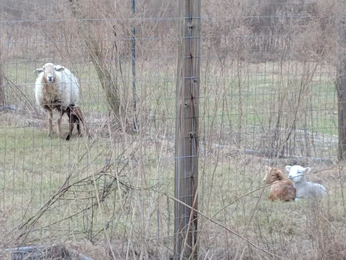 Home Field Advantage Farmstead 4