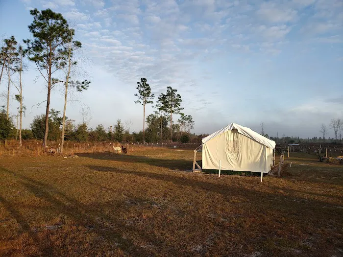 Home Field Advantage Farmstead 8